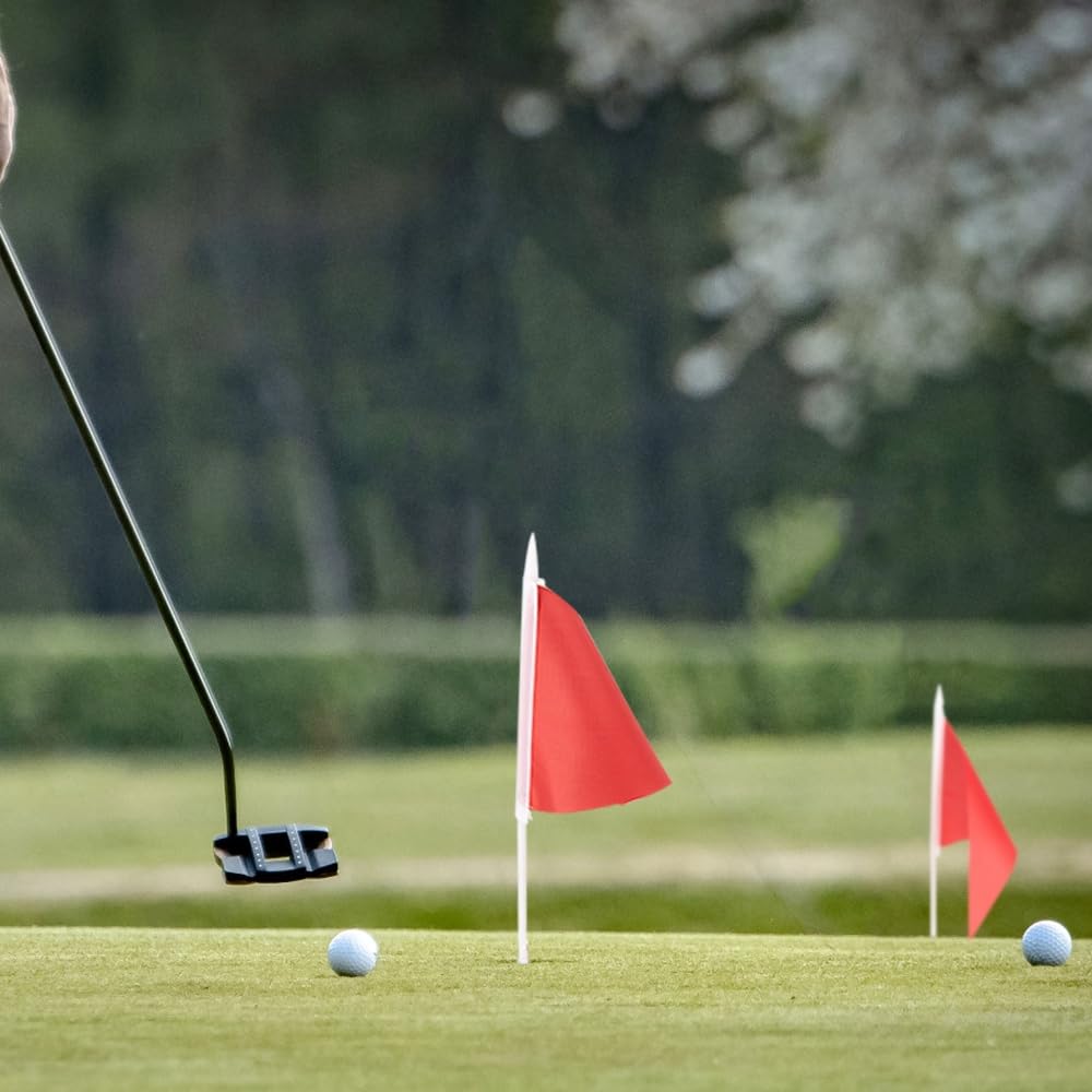 Bâton de Drapeau de Golf,Ensemble de Bâtons de Drapeau de Golf en Acier Inoxydable avec Tasse a Trou D'épingle de Golf pour la Pratique du Golf
