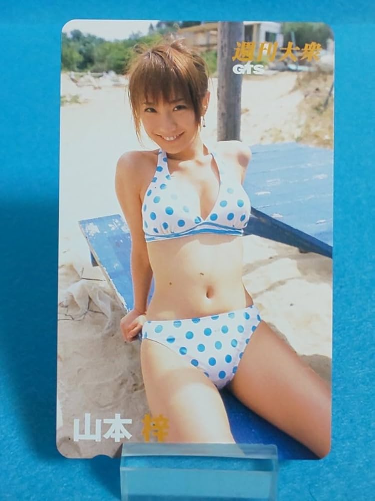 山本梓 ビキニ入りカード