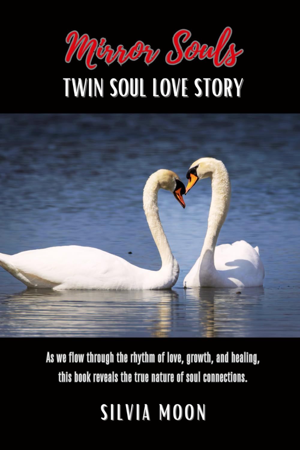 Mirror Souls: Twin Soul Love Story (Twin Flame Mirror Souls)