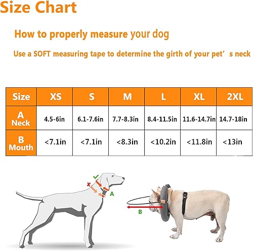 Miniatura 2 de Hekisace - Accesorios para perros ciegos, anillo ligero para perros y gatos ciegos, dispositivo de guía ajustable, arnés de collar de mascotas,