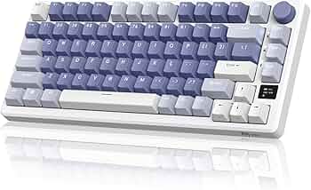 Amazon.com: RK ROYAL KLUDGE M75 Mechanical Keyboard with OLED