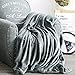 Luxury Collection Microplush Flannel Fleece Blanket | Ultra Soft 380 GSM Lightweight All-Season Anti-Static Throw/Blanket for Sofa Couch Bed (Twin (59'' x 78''), Azure Gray)