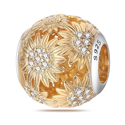 Jokmeo 925 Sterling Silber Buchstaben Charms mit Cubic Zirko