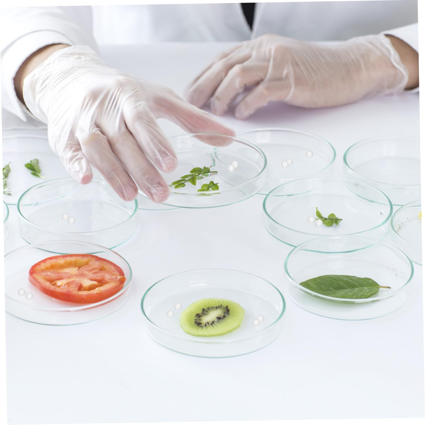 Bolas de Cristal Sólido Transparente de 2mm, 2000 Piezas | Vidrio, Alta Dureza, Formato Portátil, Uso en Laboratorio y Cultivo de Bacterias