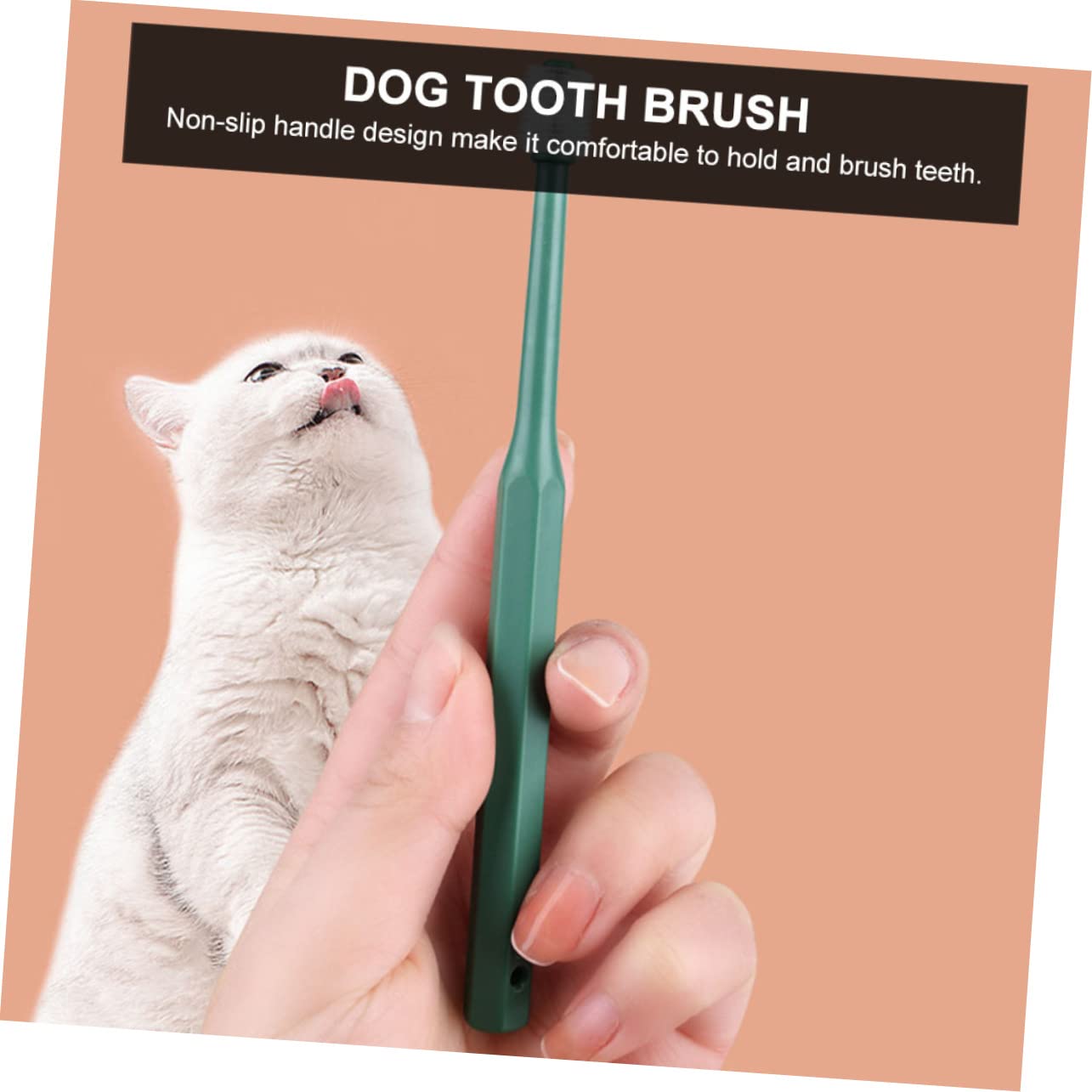 YARNOW 12 Pièces brosse à dents trucs de voyage brosse à mâcher pour fournitures d'entretien ménager brosses à dents chiot Fournitures pour animaux portable Provisions Plastique