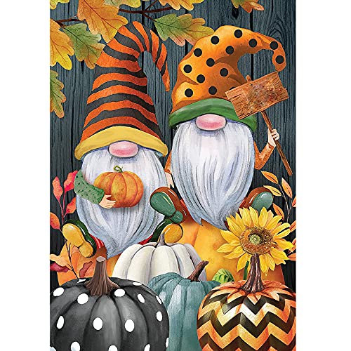 MXJSUA Diamond Painting Kit Completo Fai-Da-Te