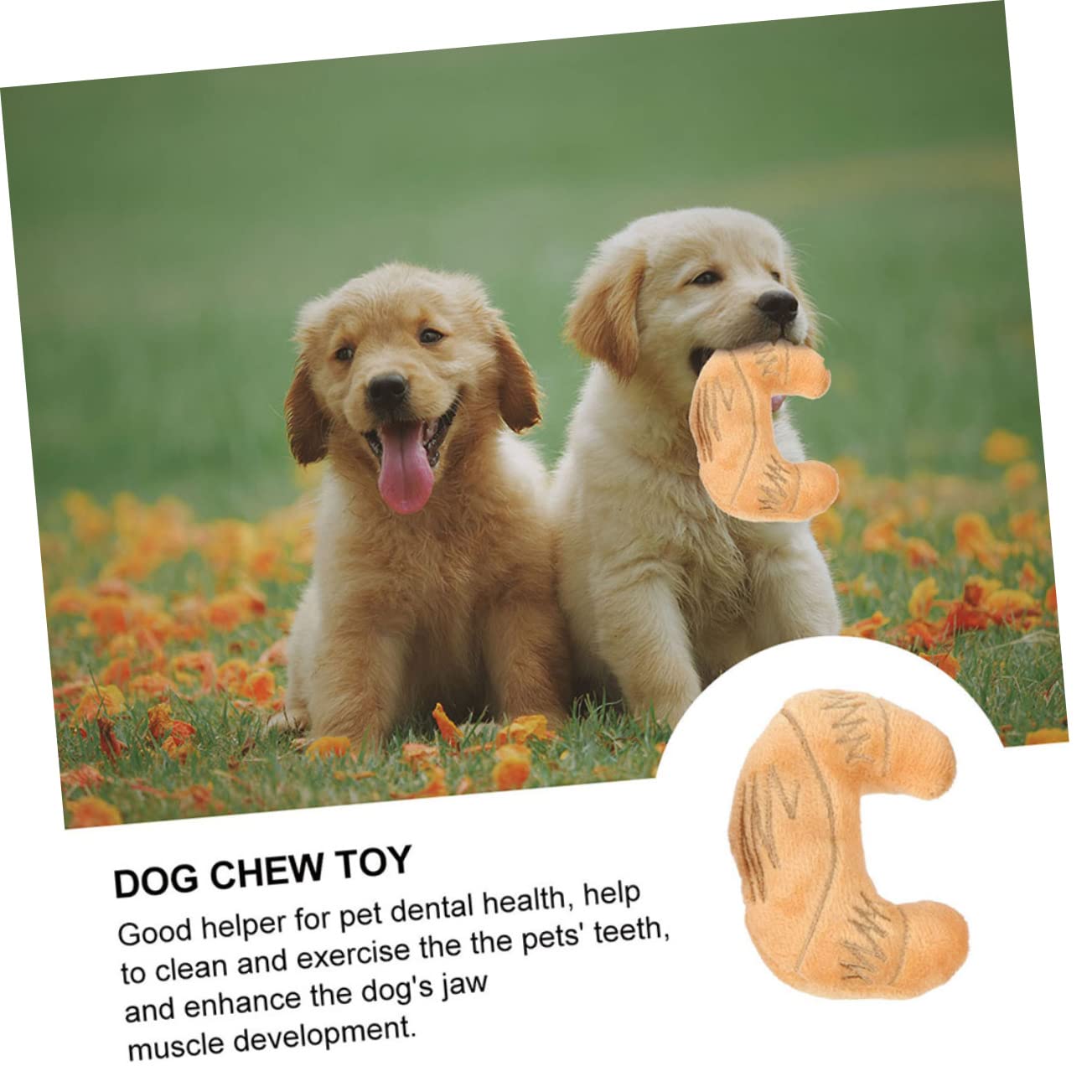 YARNOW 12pièces Jouets Peluche Squeak pour Chiens Et Jouets Molarisés Résistants pour Chiots De Hamburger Saucisse Jambon