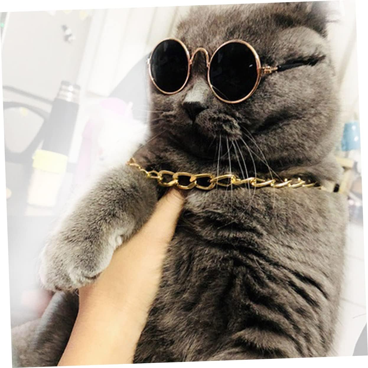 GANAZONO Metal Dog Chain Necklace Fashion Pet Jewelry Chain Pendant for Cat Small Dog Birthday Wedding