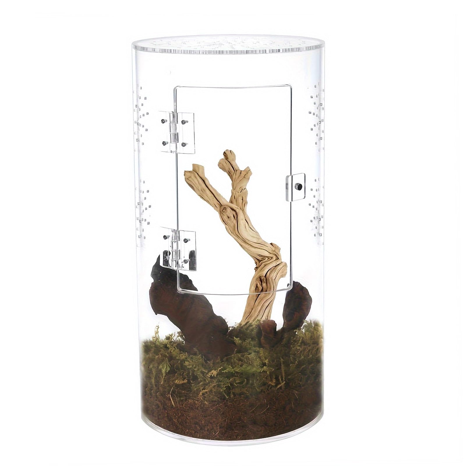 Otwierana z Przodu Obudowa dla Pająków Skakających, Terrarium Akrylowe dla Ptaszników z widocznością 360° i Bezpiecznym Zatrzaskiem 6x6x12 Cali, Duże Terrarium Akrylowe Akcesoria