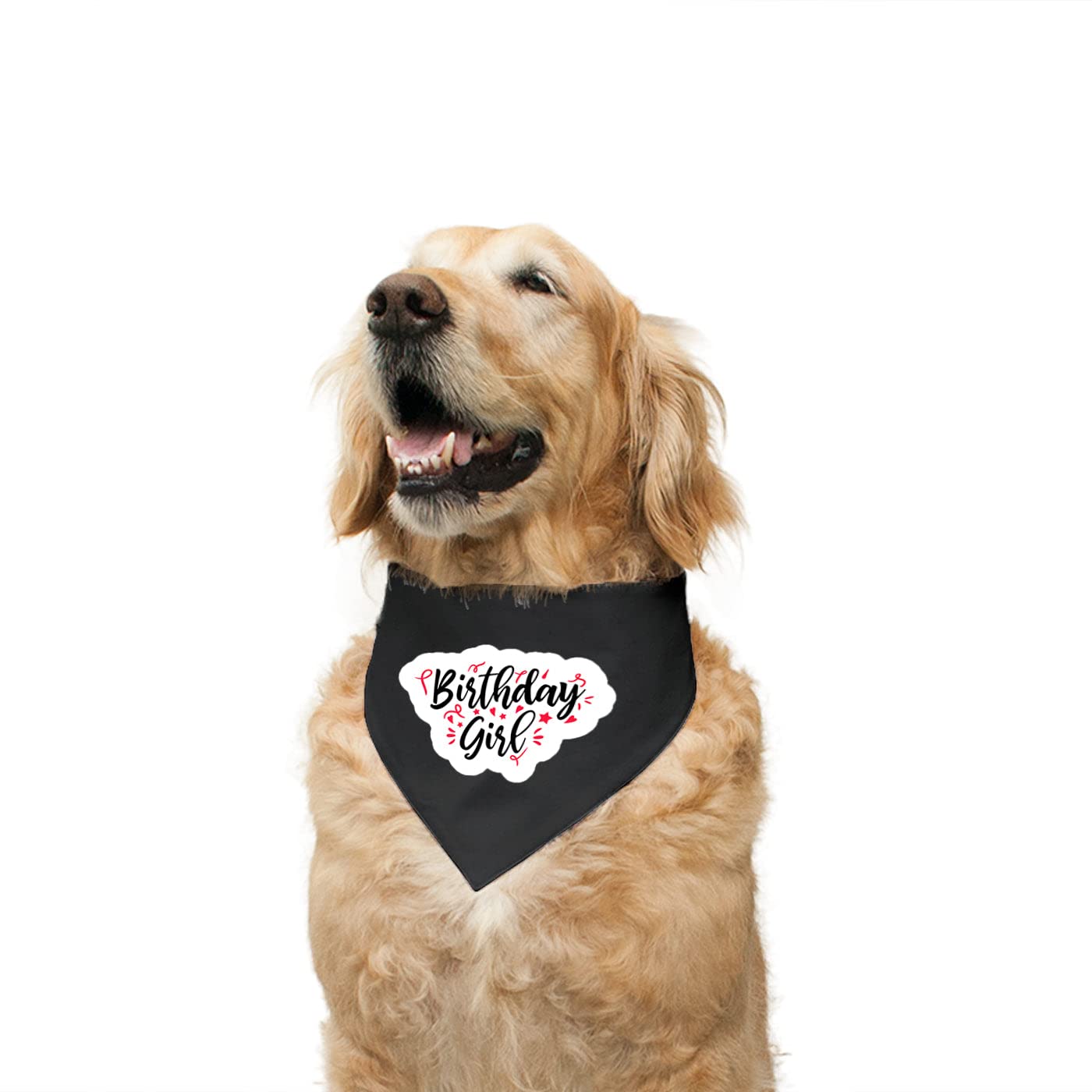 Ruse Reversible Dog Bandana Birthday Girl Printed 100% Cotton Black and Black-Berry Striped Dog Scarf/Dog Gift Adjustable Snap Button for Dogs/Small (B09RQWPPQ3) Amazon Price History, Amazon Price Tracker