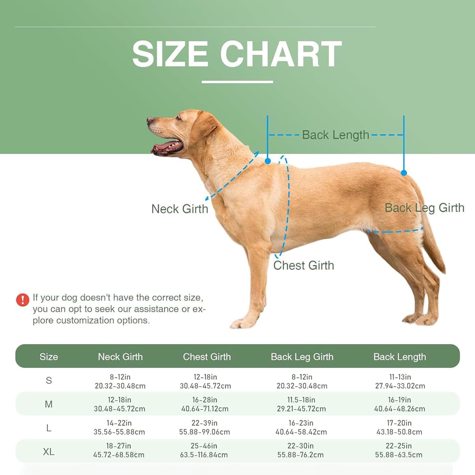 Supporto per la schiena per cani, regolabile, in neoprene, 450 g, imbracatura di supporto per la riabilitazione del cane, per le scale, camminare, jogging, casa, all'aperto, viaggi