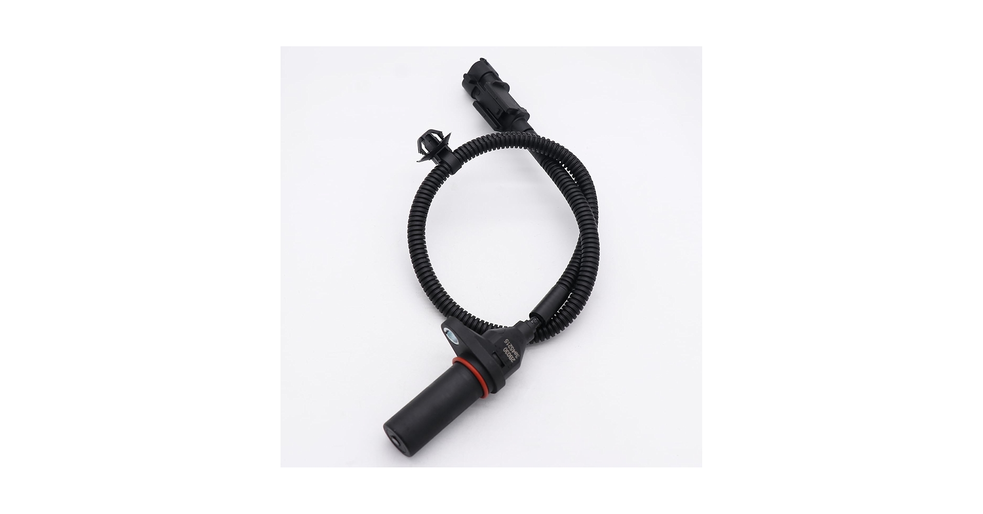 ゴンゾの手6 61gKWUceEJL.jpg_BO30,255,255,