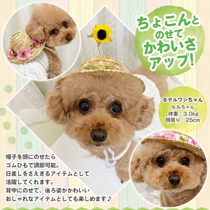 Amazon | m.tivance ペット 犬 帽子 猫 帽子 ひまわり 麦わら 夏