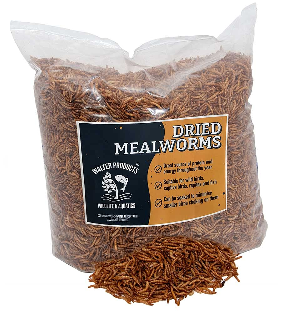 Buy Walter’s Meal Worms (2kg) Dried Mealworms for Birds, Fill Your