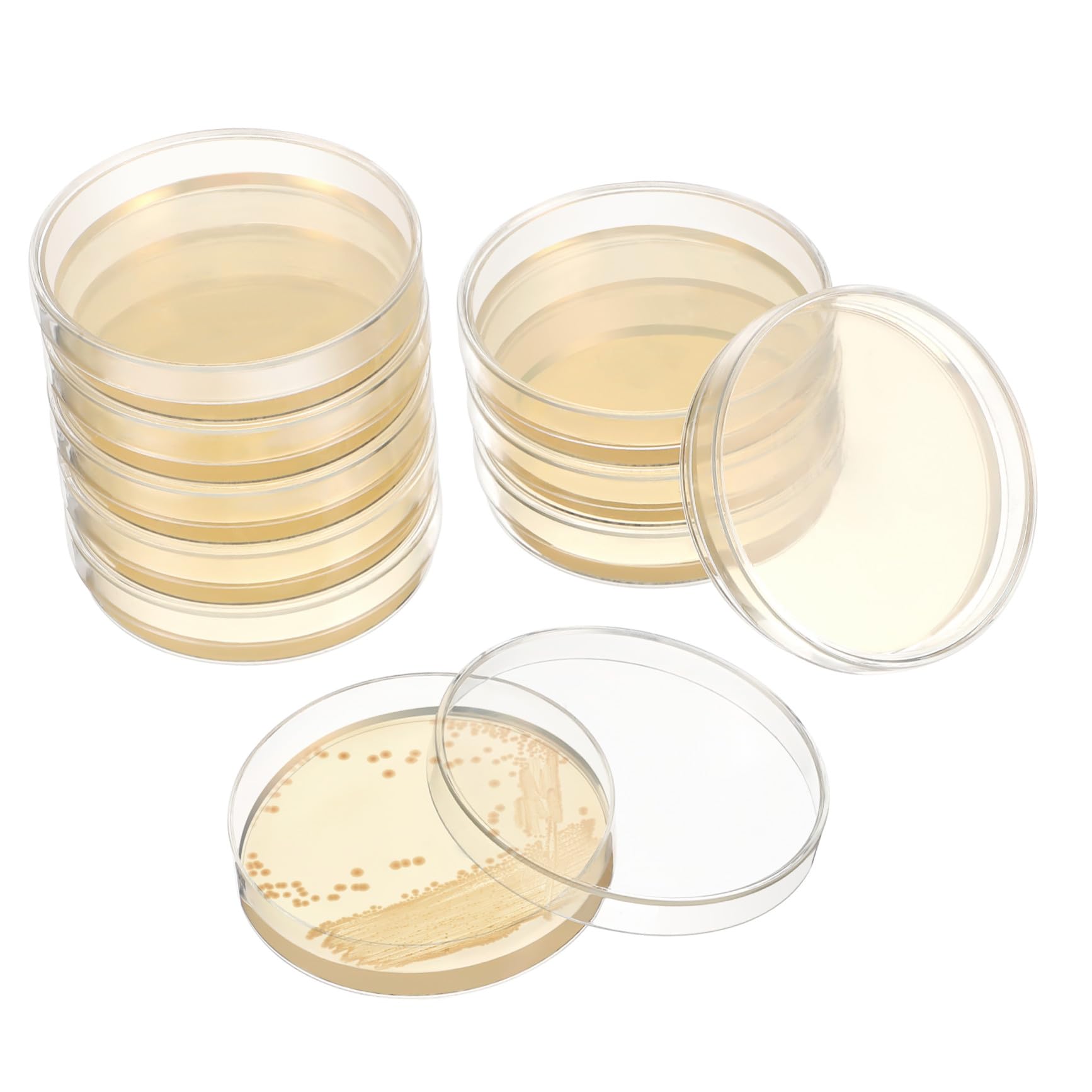 20 Vorgegossene Agarplatten 7cm für Schule und Labor, Nährmedium