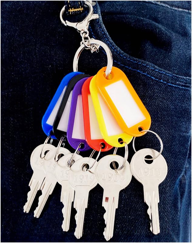 1919 Golf Cart Ignition Keys Compatible with EZGO (1982-Up) Gas and Electric Club Car AM10079 17063-G1 1919 (6PCS)