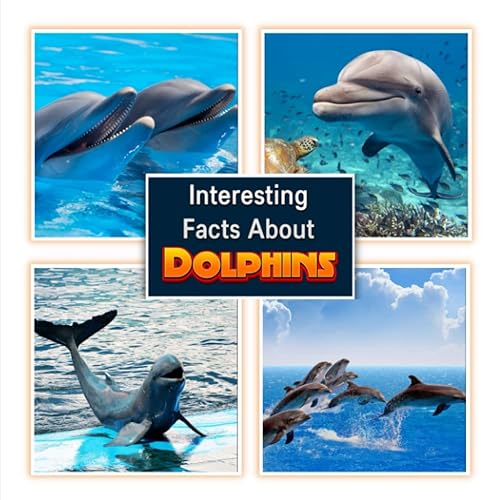 Interesting Facts About Dolphins: Dolphins Picture Book for Children's / Learn About the Dolphins for Kids (A Colorful Picture Book for Kids)
