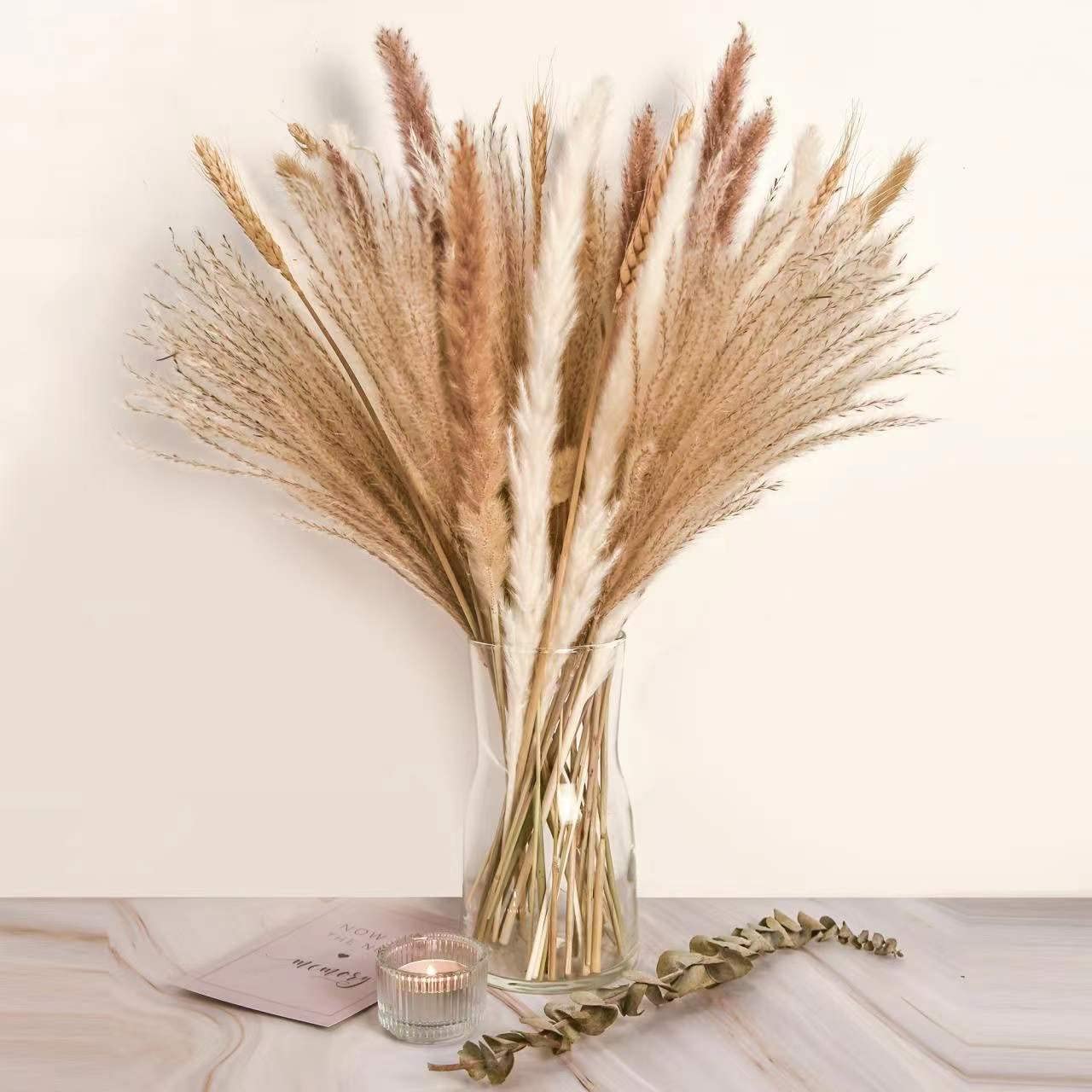 XifamniyNatural Pampas Grass Decor – 50 Pieces, Natural Dried White Bunny Tail Wheat Dust Pampas Grass Plant For Home Decor Flower Arrangements Boho Decor (45CM)