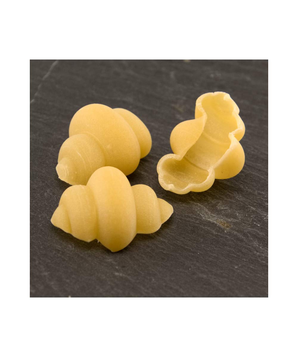 Pasta Insert for Kenwood AT910 KAX 910 and Philips Pasta Maker Matrix (Gnocco Gigante Size L)