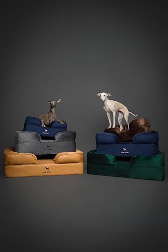 Miniatura 9 de NOAH & PAW Cama grande para perro, 35 x 25 x 11 pulgadas, camas ortopédicas para perros, espuma viscoelástica con cáscara de huevo con gel