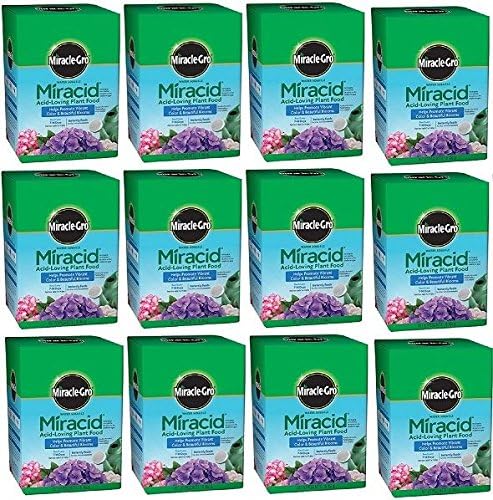 12 Miracle Gro 1750011 Fertilizante de rododendro de azalea amante del ácido milagroso de 1 libra. #GH45843 3468-T34562FD469823