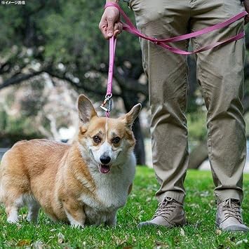 Sleepypod Power Dog Leash
