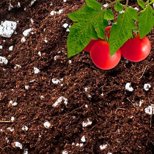 GARDENWISE Coco Perlite - Coco Coir Perlite Mix - 70/30 Growing Media - Hydroponic Indoor & Outdoor Grow Bags & House Plants (5 quarts)