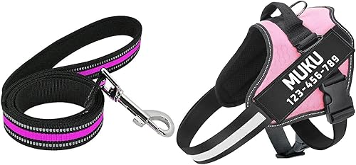 Miniatura 2 de Moonpet Juego de correa de arnés personalizado sin tirones para perro con nombre y número de teléfono personalizados, chaleco resistente para