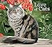 Lang Love of Cats 2020 Wall Calendar (20991001926)