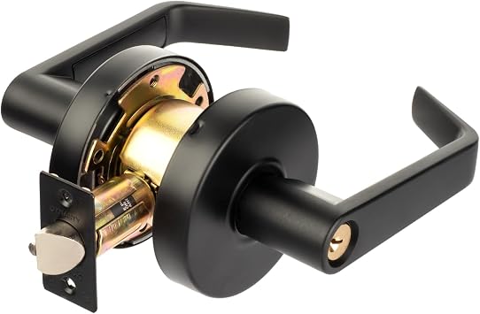 Dynasty Hardware Classroom Door Lock Keyed Lever Lockset, ADA Compliant, Grade 2 Heavy Duty Locking Handle for School, Classroom or Educational Facility, Flat Black Finish, Model AUG-03-US19