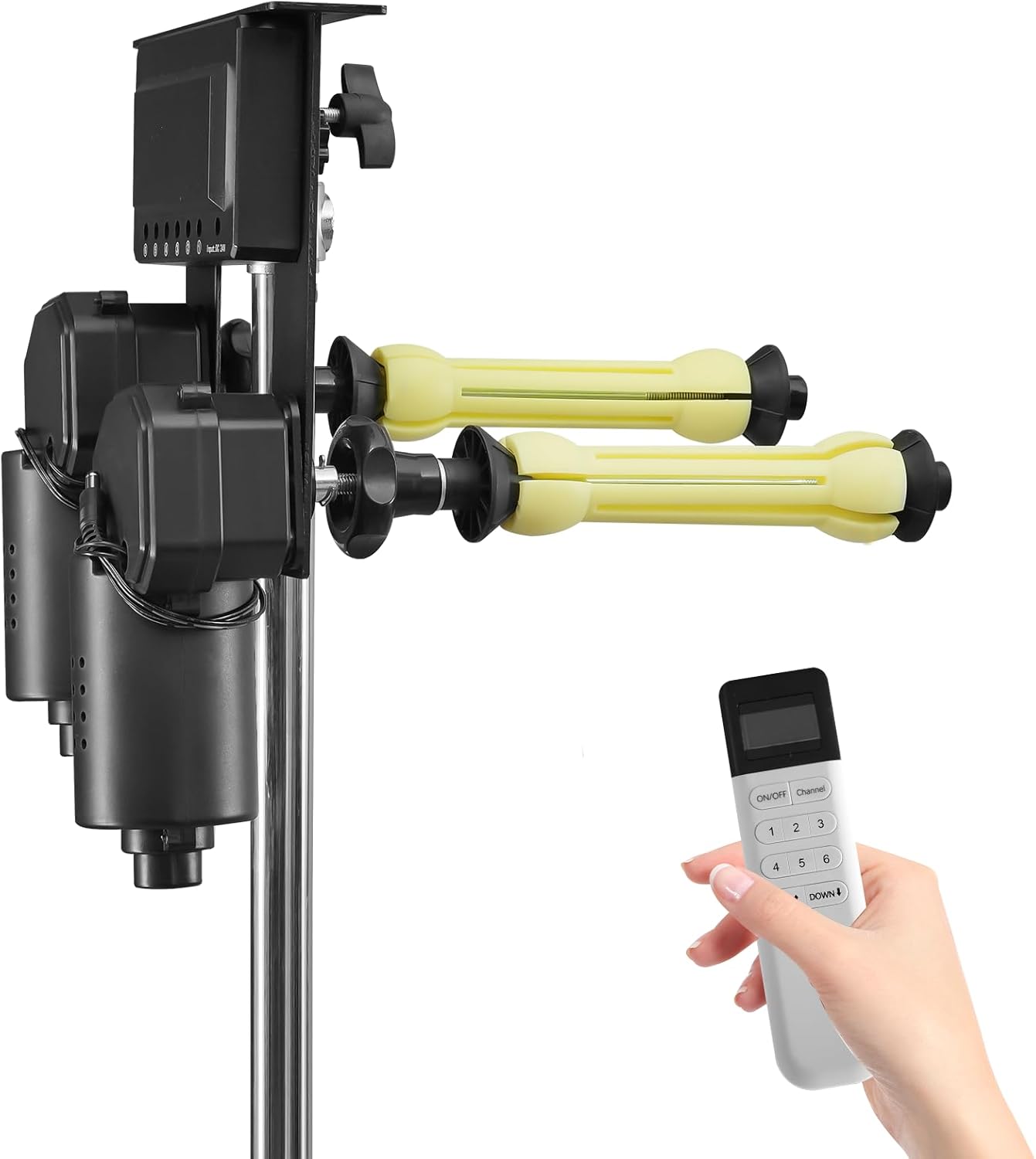 Set Your Price. Bid Now!