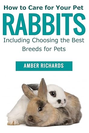 How to Care for Your Pet Rabbits