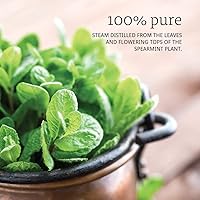 Vista 3 de NOW - Aceite de menta verde, 1 onza (paquete de 2)