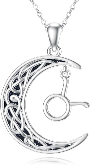 PROESS Zodiac Necklace 925 Sterling Silver 12 Constellations Pendant Necklace Horoscope Sign Necklaces Jewelry Presents for Women Men