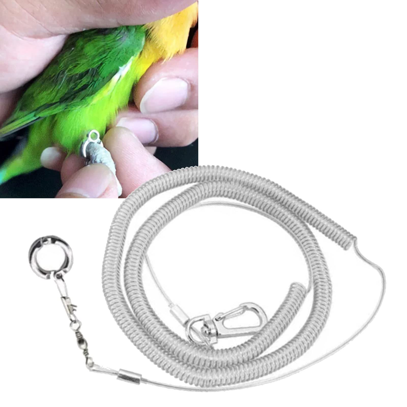 Corda Volante per Pappagalli, Guinzaglio Leggero Anti- per Uccelli per Allenamento all'Aperto, Corda Elastica Resistente da 19,7 Piedi per Pappagalli, Ara, Cacatua