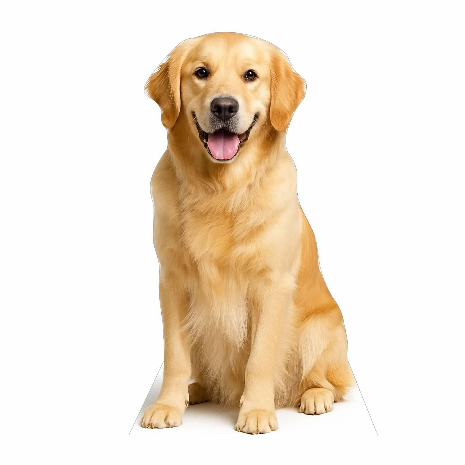 Dog 2FT Life Size Cardboard Cutout – A Fun Animal Standup for Photo Booths, Birthday Parties, and Events