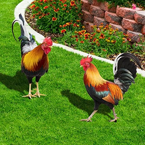 MEUMITY 2 PCS Lifelike Rooster Garden Sculptures,Unique Acrylic Chicken Statues Outdoor Garden Statues Simulation Rooster Acrylic Pile for Garden Courtyard Park Lawn