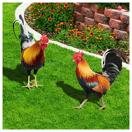 MEUMITY 2 PCS Lifelike Rooster Garden Sculptures,Unique Acrylic Chicken Statues Outdoor Garden Statues Simulation Rooster Acrylic Pile for Garden Courtyard Park Lawn