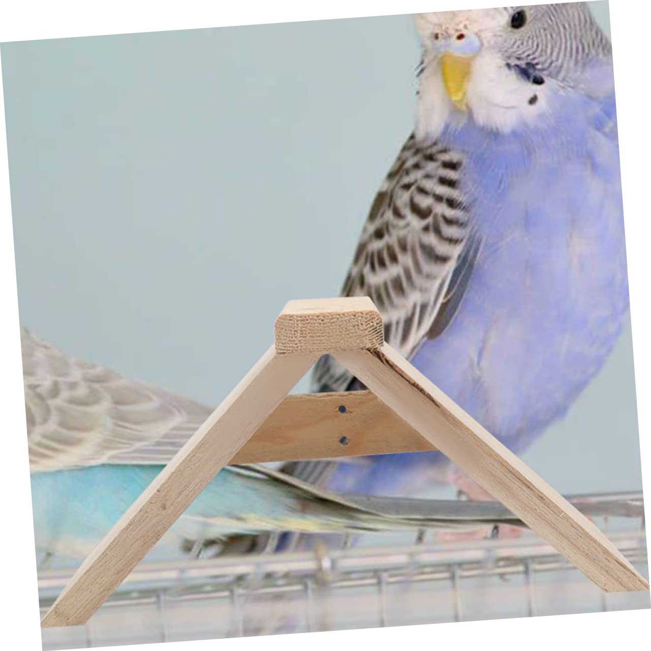 ibasenice Perchoir à Perroquet en Bois, Support à Picorer, Lot de 5, Kaki | Accessoire pour Cage à Perruche, Adapté aux Perroquets et Poules, Usage Intérieur, Pièce Démontable