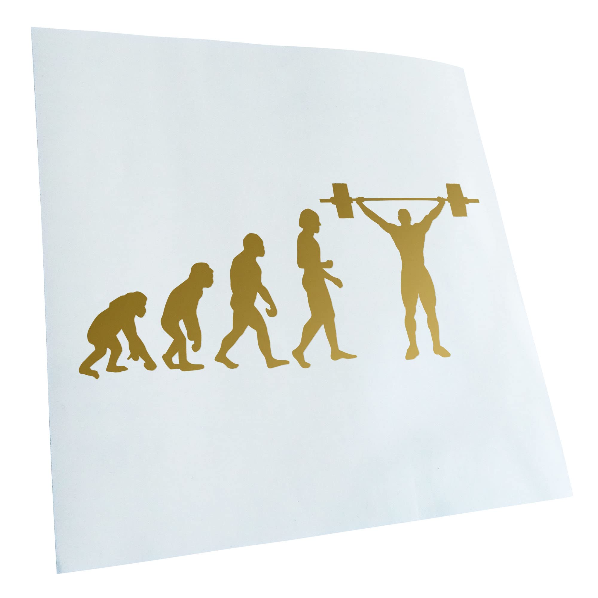 Kiwistar - Car Sticker - Gold - 30 x 13 cm Evolution Weightlifter - Rear Window Car Sticker Weatherproof for Car Truck Moped Truck - Sticker Exterior Self-Adhesive Tuning Accessories for Window