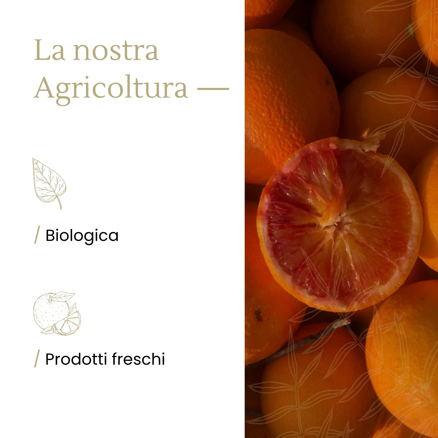 Arance 100% Siciliane e 100% Biologiche - Massima Freschezza e Sostenibilità, Arance Raccolte Direttamente dai Nostri Alberi - BIO 7 kg - - CERTIFICATE BIOLOGICHE, QUESTO FA LA DIFFERENZA!