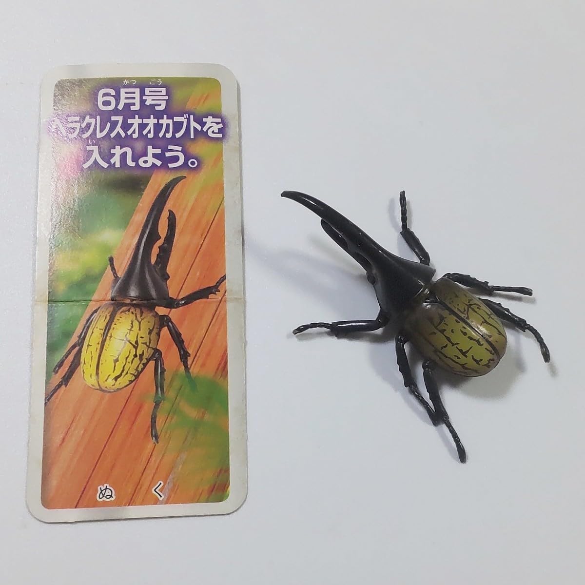 Amazon.co.jp: ヘラクレスオオカブト 小学二年生 ワンダーフィギュア