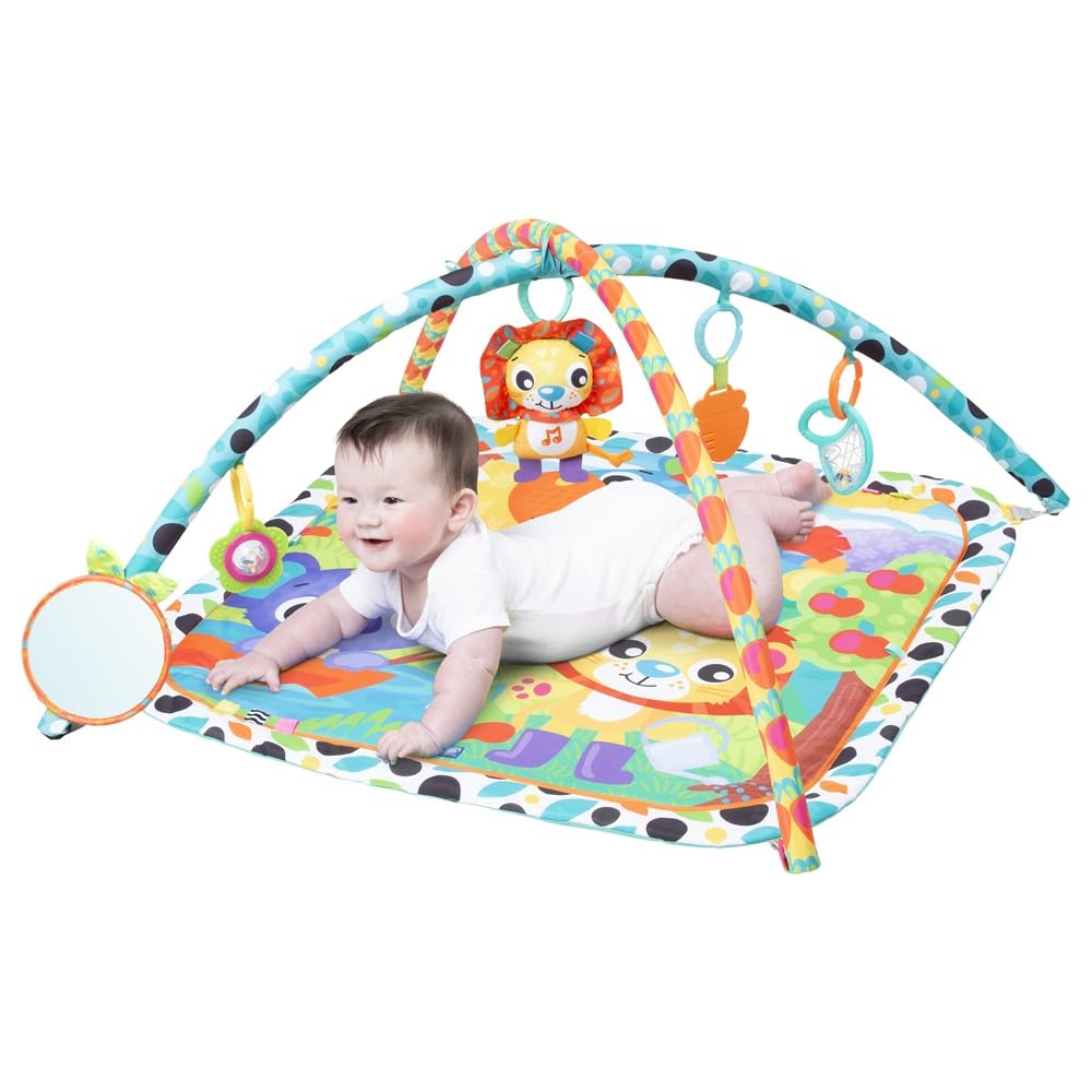 Giggly Garden Musical Gym