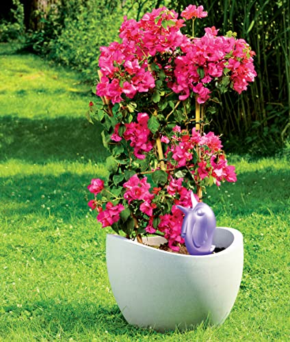 Scheurich Bördy, Misura M - Dispenser di Acqua in