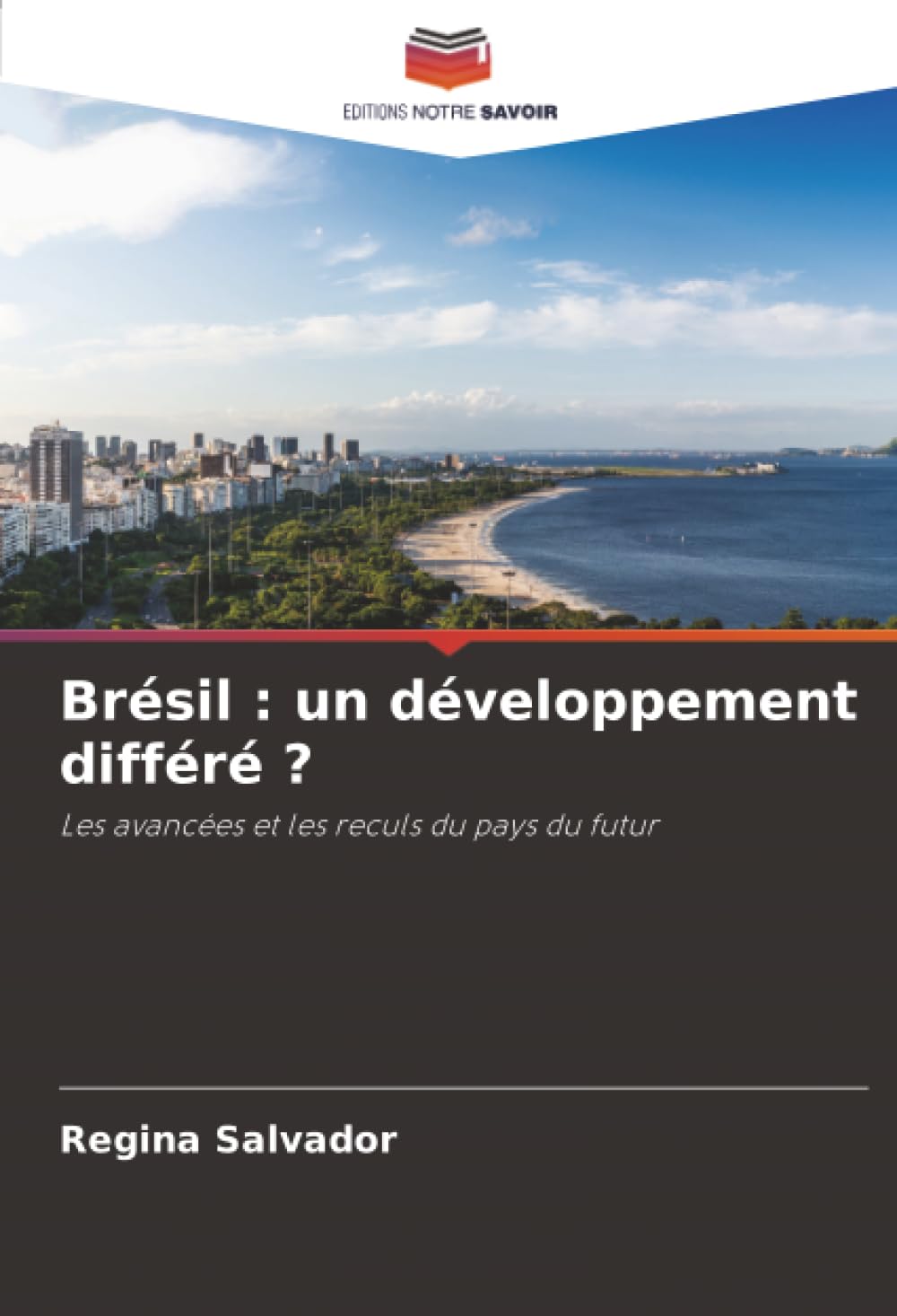 Brésil : un développement différé ?: Les avancées et les reculs du pays du futur
