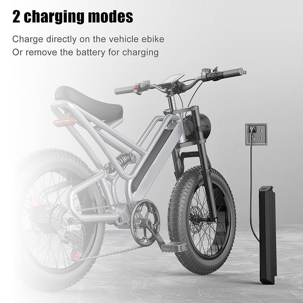 Amazon.co.jp: 48V 電動自転車バッテリー 48V 15.6Ah 18Ah 19.2