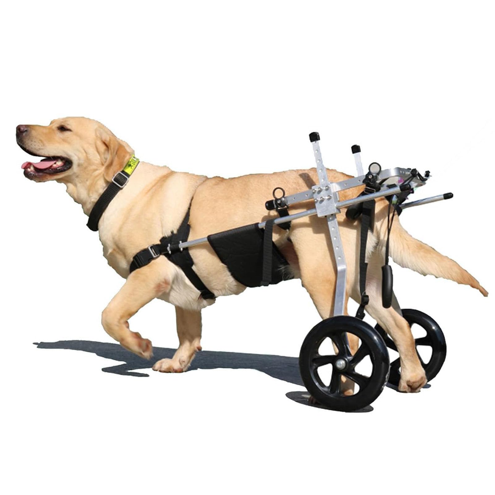 SJMDMZD Medium/Large Dog Wheelchair for Back Legs Rehabilitation Aid Pet Rehabilitation Walking Aid with 2 Wheels for Aging Disable Injured Arthritis Weak Dog/Cat/Pet M