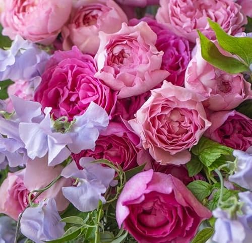 季節の花束 100B illony select