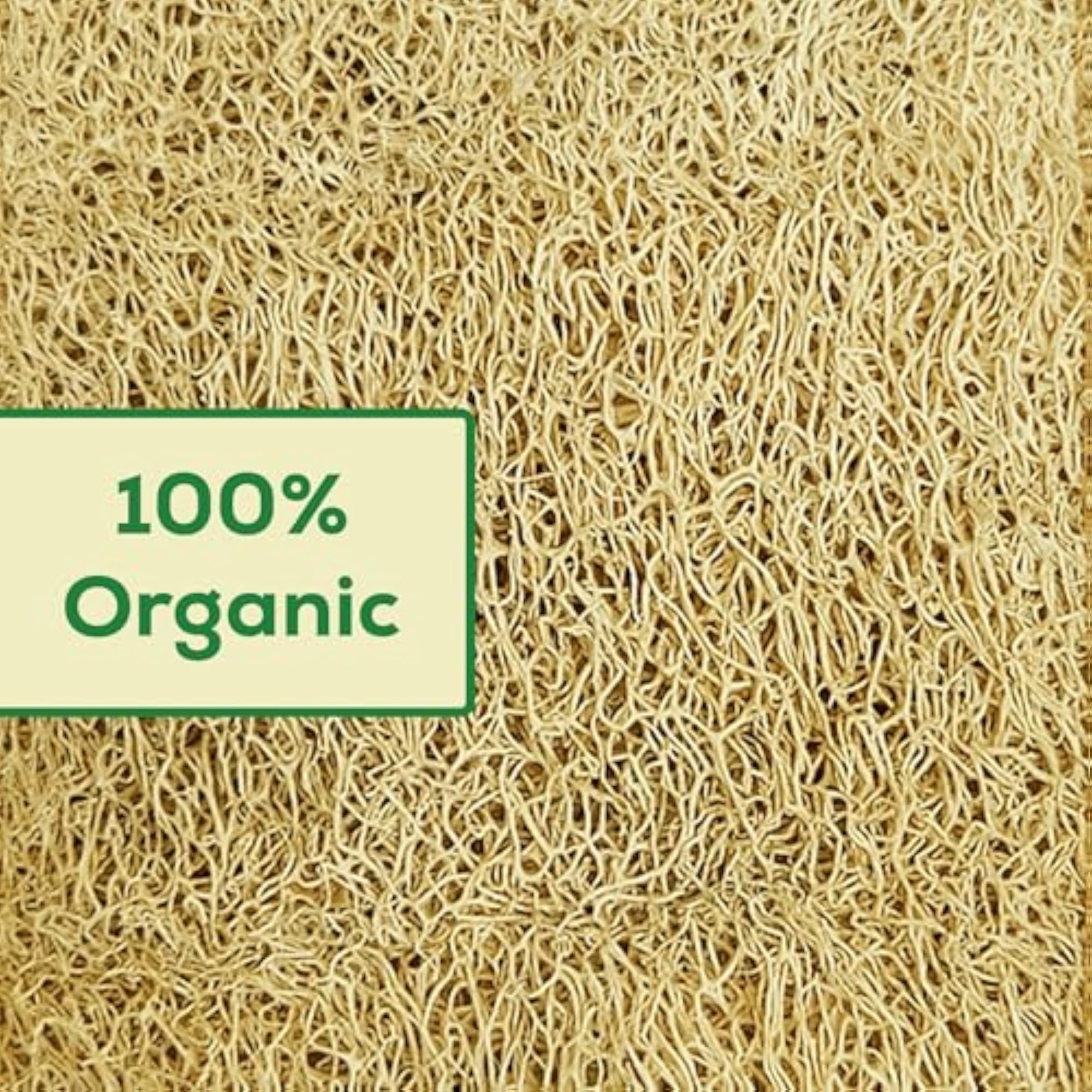 Natural Loofah Sponge for Bathing Pack of 2, Eco-Friendly