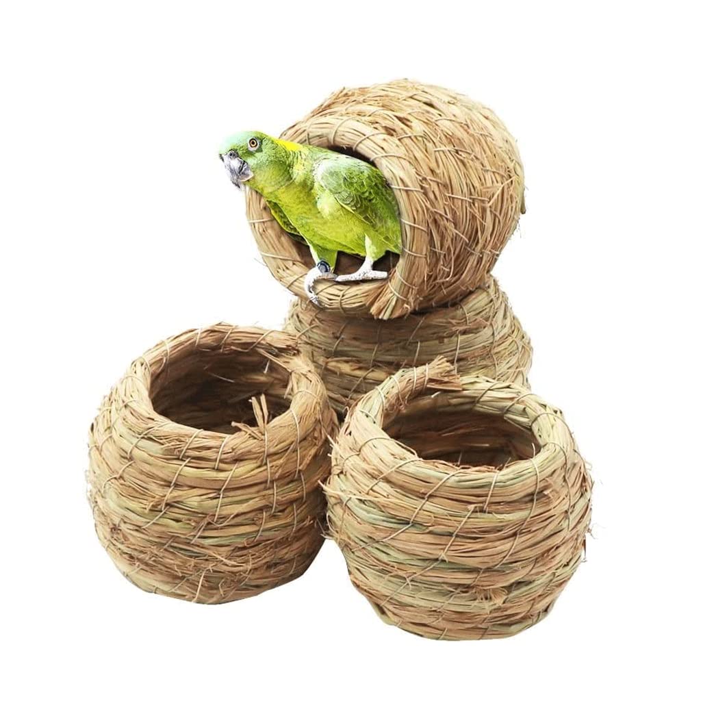gabbia per uccelli, gabbie for uccelli Gabbia for semplice Piccola gabbia for con ventilazione completa Gabbie for rotonde Trasportini for sospesi mangiatoia(Only nest)